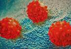 Guidelines for basal, cutaneous squamous cell carcinoma management Guidelines for basal, cutaneous squamous cell carcinoma management