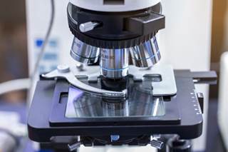 Nearly 2 in 3 dermatopathologists order ≥12 molecular tests per year, while 5% report ordering 2 or fewer assays per year. Nearly 2 in 3 dermatopathologists order ≥12 molecular tests per year, while 5% report ordering 2 or fewer assays per year.