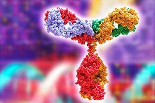 Analysis of autoantibody profile in patients with bullous pemphigoid is of diagnostic relevance and may also assist in predicting the course of the disease. Analysis of autoantibody profile in patients with bullous pemphigoid is of diagnostic relevance and may also assist in predicting the course of the disease.