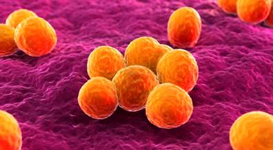 CDC: Invasive MRSA More Likely Among Injection Drug Users CDC: Invasive MRSA More Likely Among Injection Drug Users