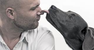 A Wisconsin man had his lower legs and hands amputated after developing a rare blood infection caused by bacteria in dog saliva. A Wisconsin man had his lower legs and hands amputated after developing a rare blood infection caused by bacteria in dog saliva.